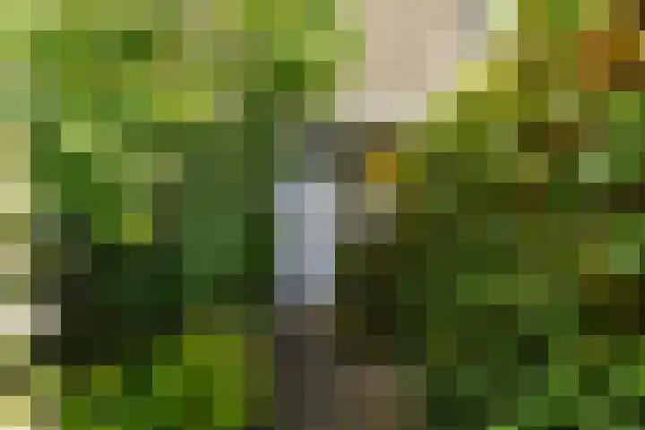 Slot Loevesteinstraat 29 Tilburg thumbnail 9