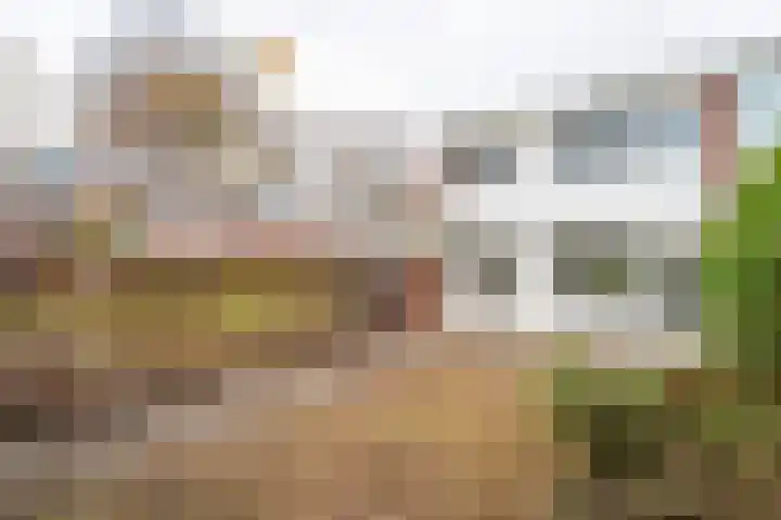 Slot Mathenessestraat 18 Tilburg thumbnail 20