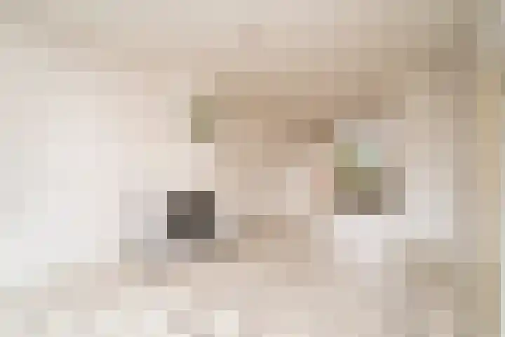 Slot Mathenessestraat 18 Tilburg thumbnail 4