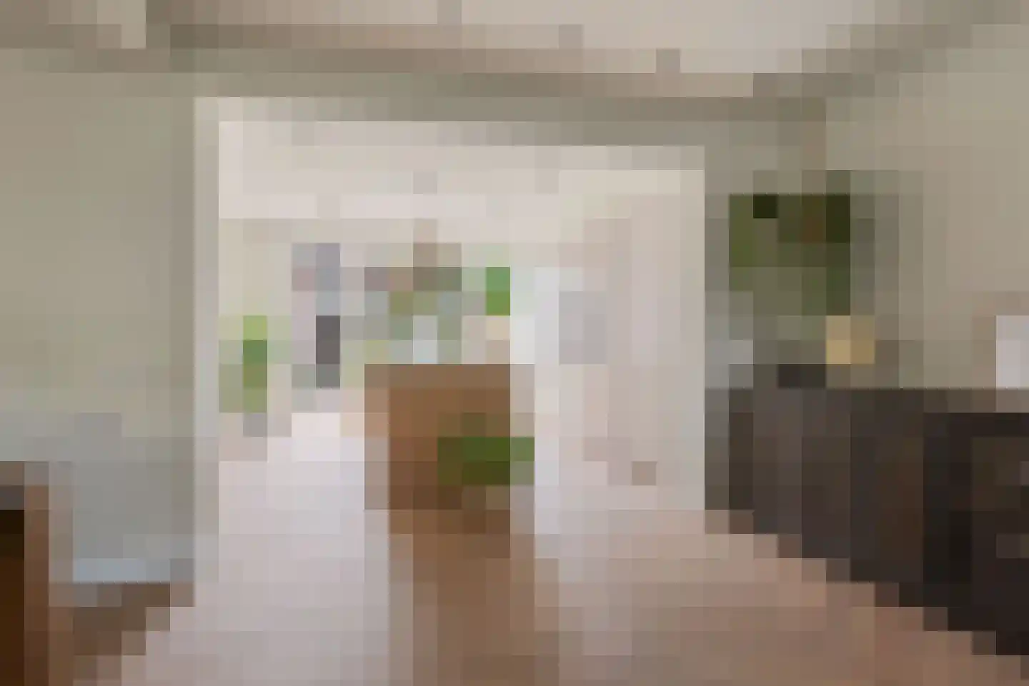 Slotakkerstraat 8 Sint-Oedenrode thumbnail 12