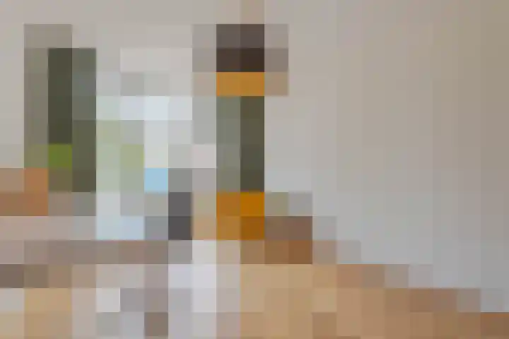 Slotboomplein 14 Rotterdam thumbnail 22
