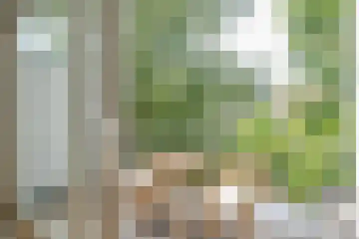 Slotboomplein 14 Rotterdam thumbnail 31