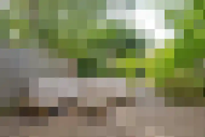 Slotboomplein 14 Rotterdam thumbnail 4
