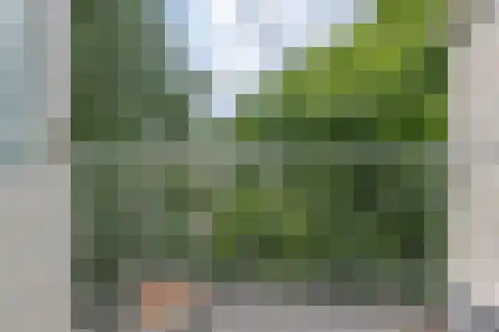 Slotboomplein 14 Rotterdam thumbnail 40