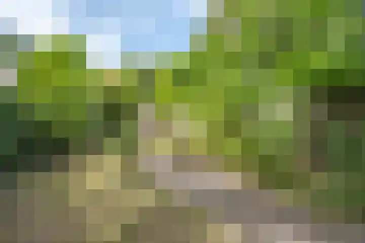 Slotboomplein 14 Rotterdam thumbnail 41