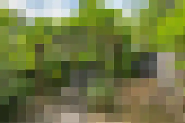 Slotboomplein 14 Rotterdam thumbnail 42