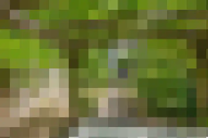 Slotboomplein 14 Rotterdam thumbnail 43