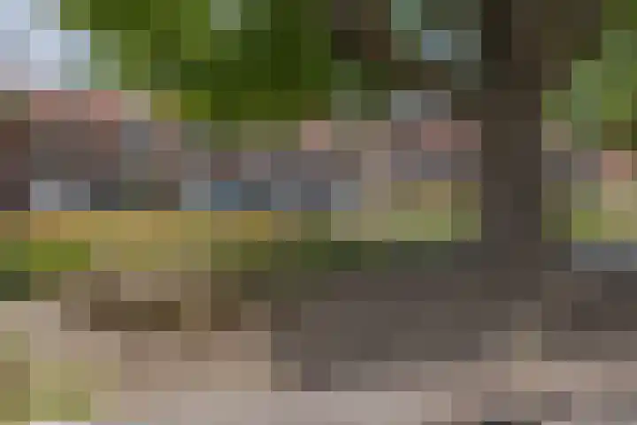 Slotboomplein 14 Rotterdam thumbnail 48