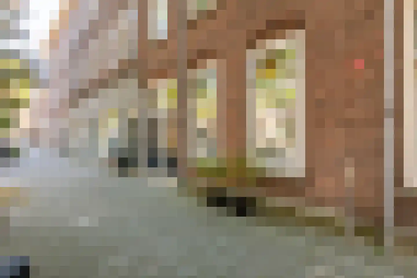 Slotboomstraat 18 B Rotterdam thumbnail 26