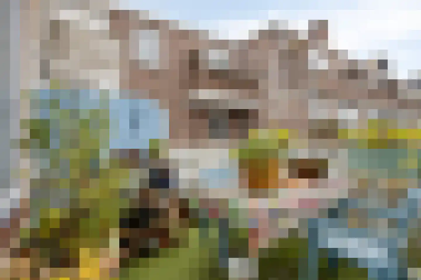 Slotboomstraat 25 Rotterdam thumbnail 21