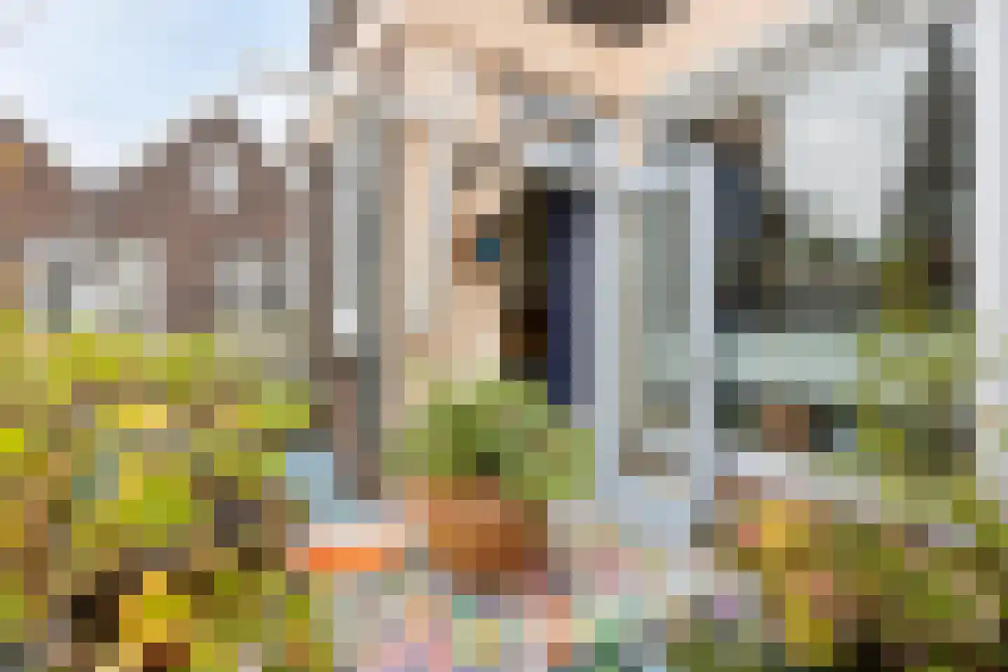 Slotboomstraat 25 Rotterdam thumbnail 22