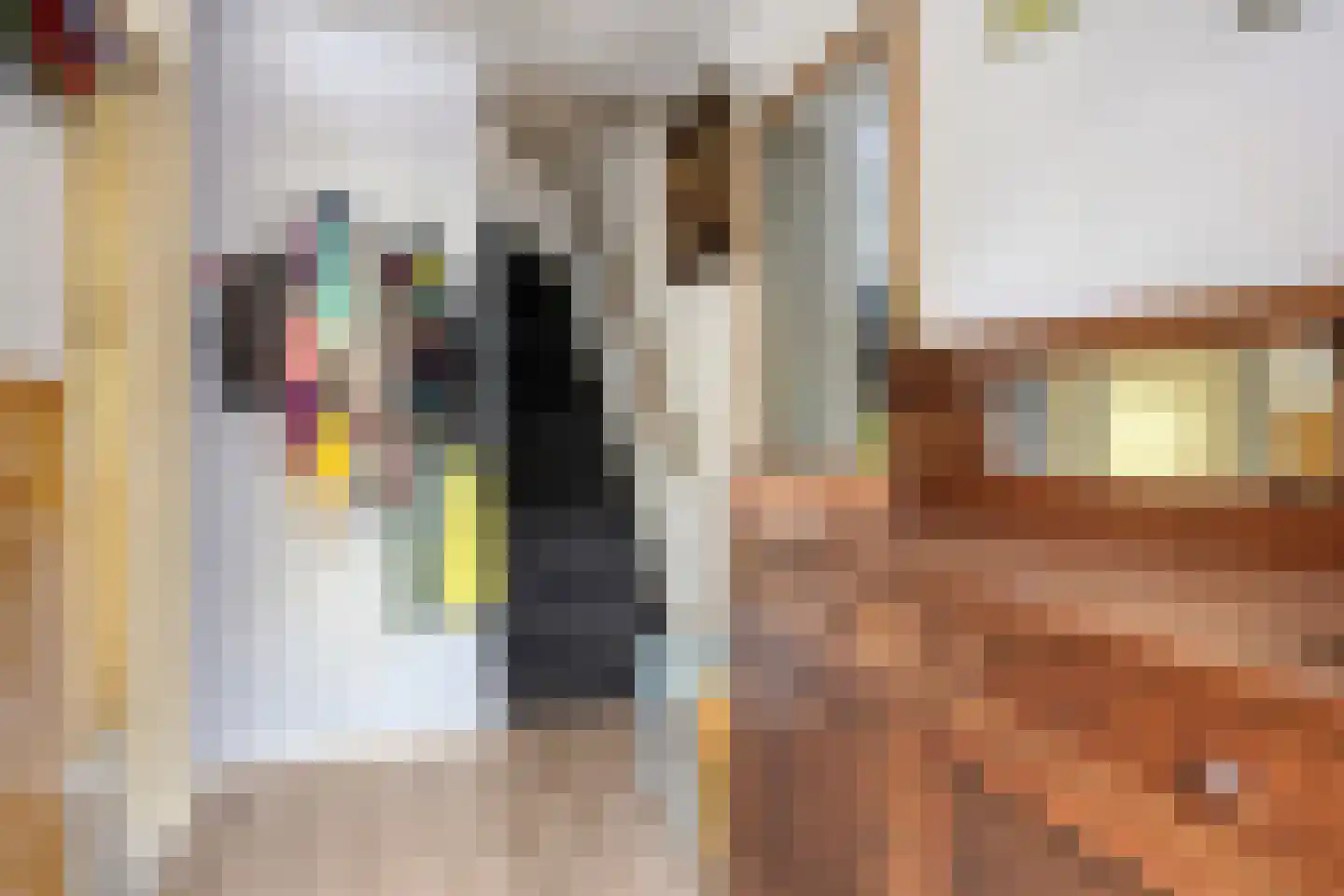 Slotboomstraat 25 Rotterdam thumbnail 4
