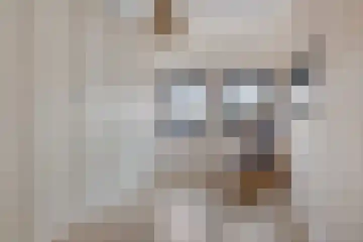Slotbrug 14 Leek thumbnail 21