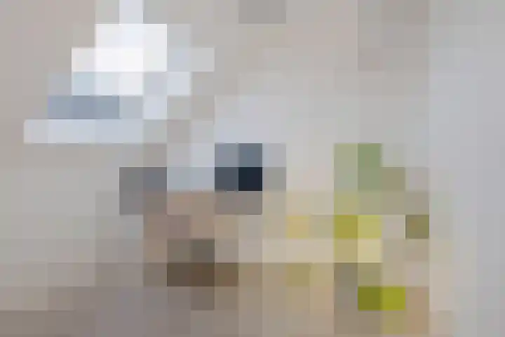 Slotbrug 14 Leek thumbnail 30