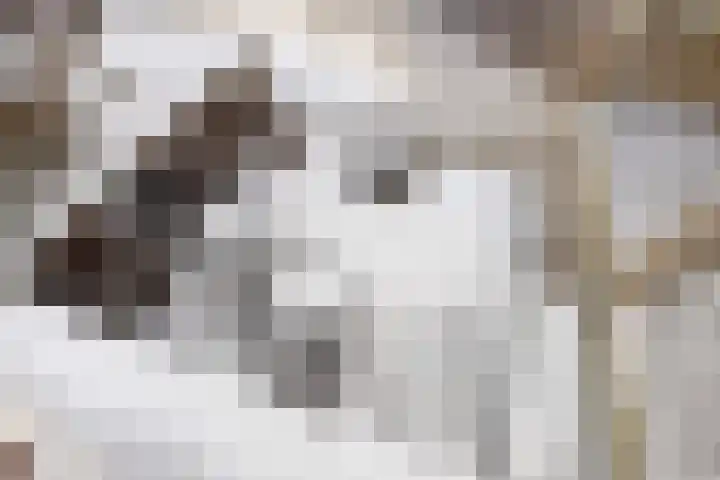 Slotbrug 14 Leek thumbnail 38