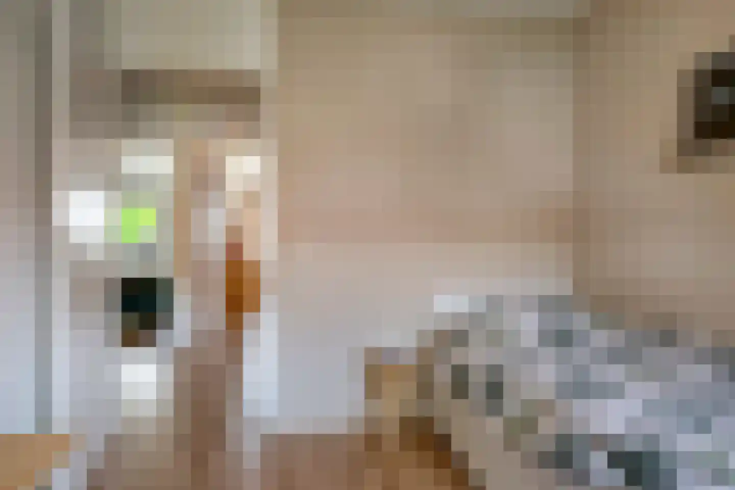 Slotbrug 9 Leek thumbnail 27