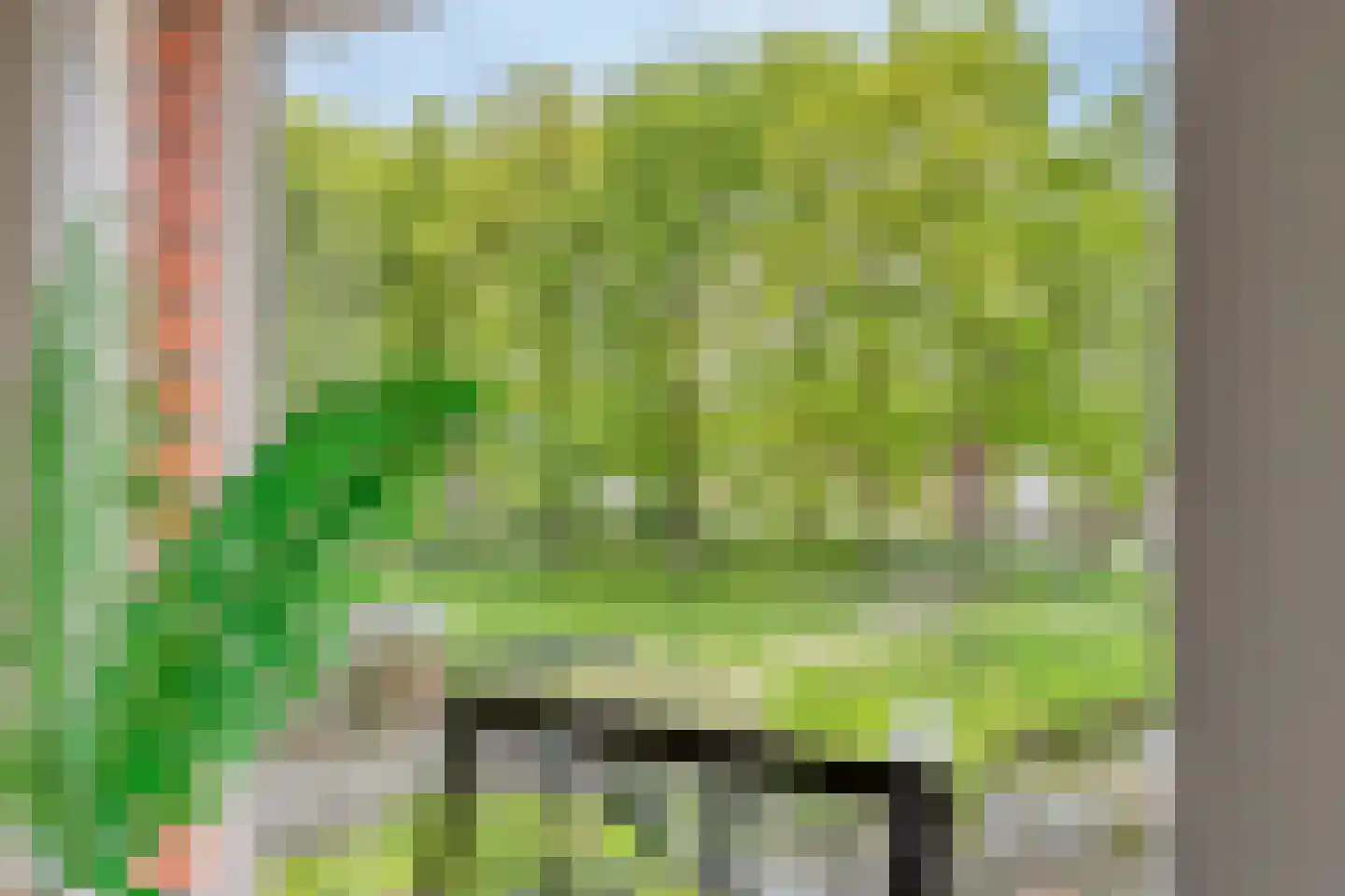 Slotbrug 9 Leek thumbnail 32