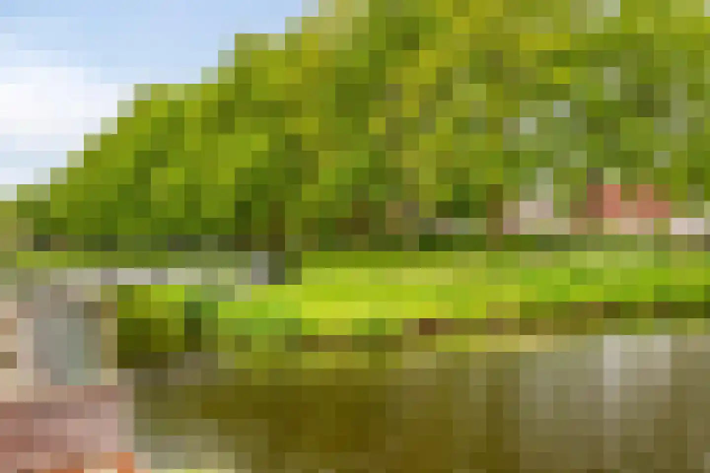 Slotbrug 9 Leek thumbnail 58