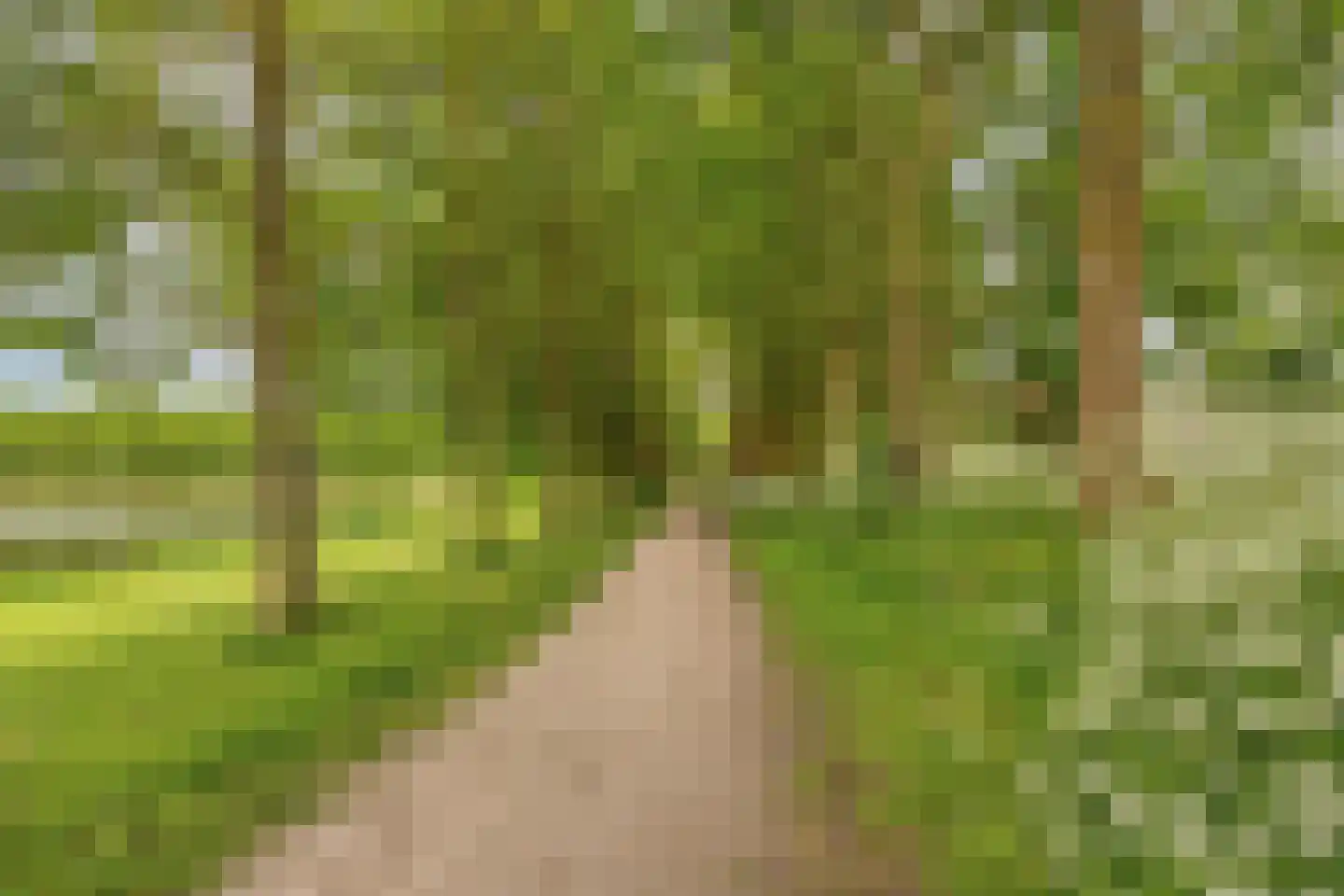 Slotbrug 9 Leek thumbnail 59