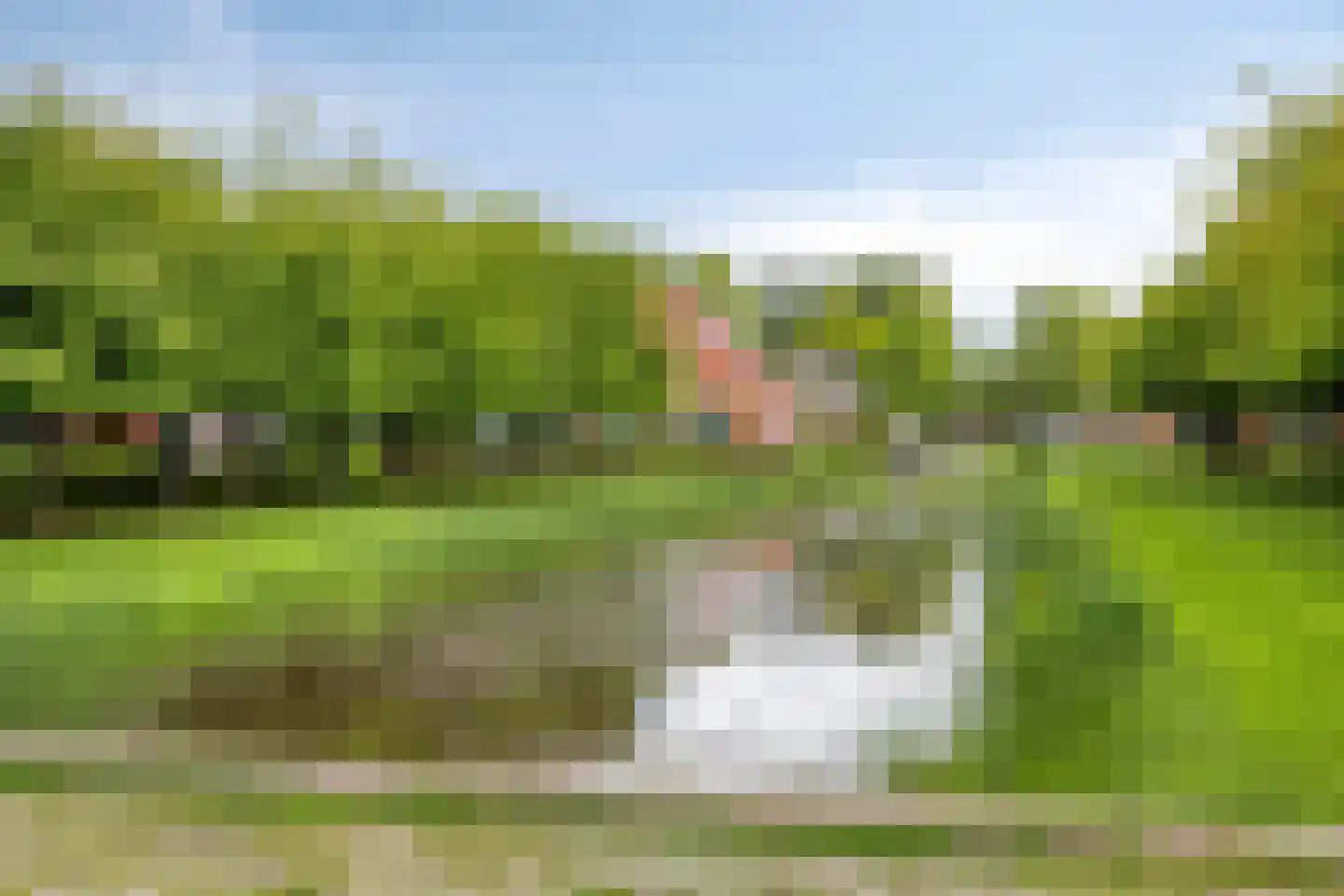 Slotbrug 9 Leek thumbnail 60