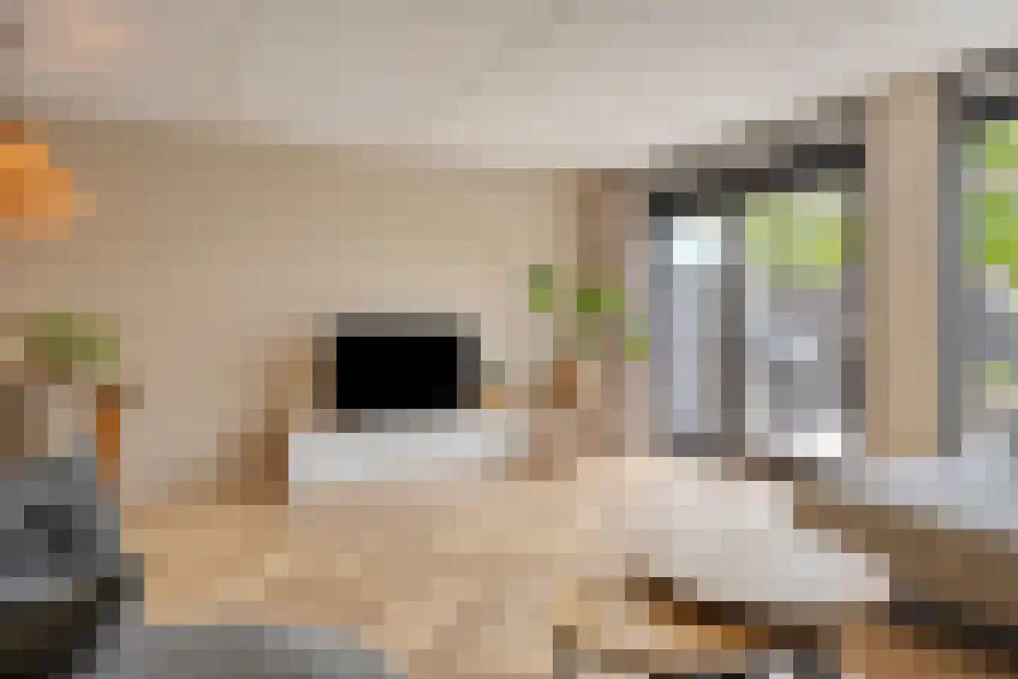 Slotbrug 9 Leek thumbnail 8