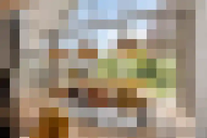 Slotdreef 12 Willemstad thumbnail 20
