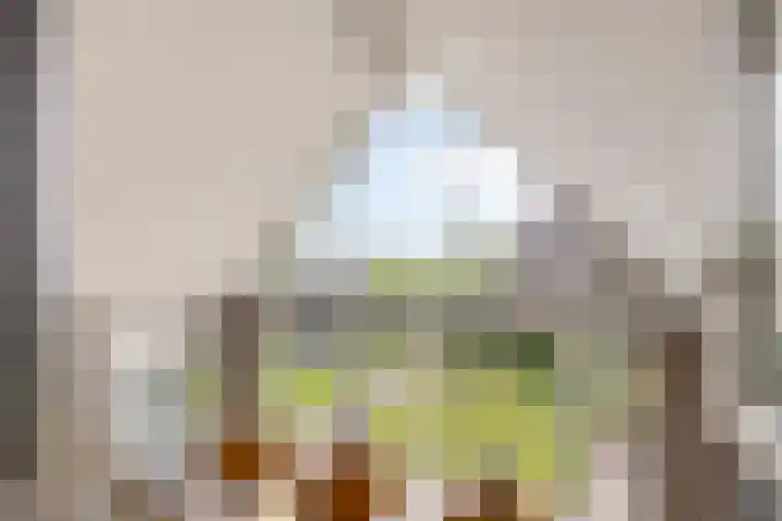 Slotdreef 12 Willemstad thumbnail 33