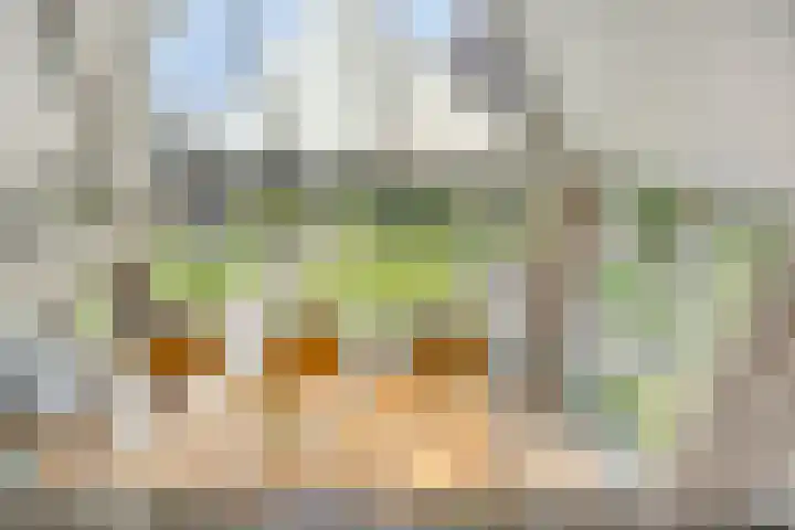 Slotdreef 12 Willemstad thumbnail 34