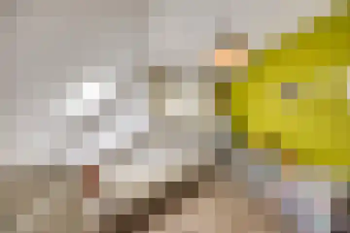 Slotdreef 12 Willemstad thumbnail 38