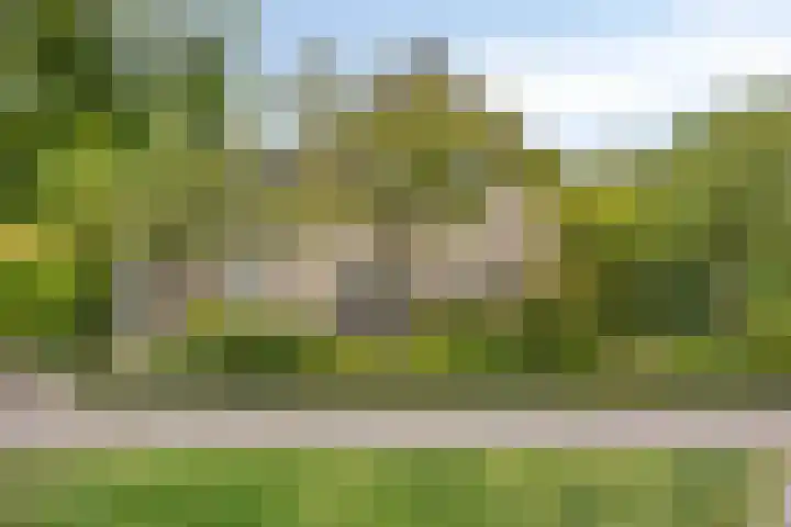 Slotdreef 12 Willemstad thumbnail 4