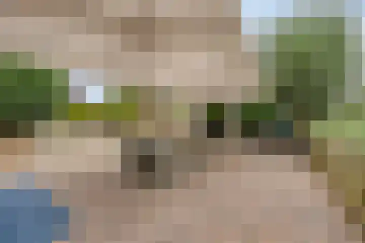 Slotdreef 12 Willemstad thumbnail 46