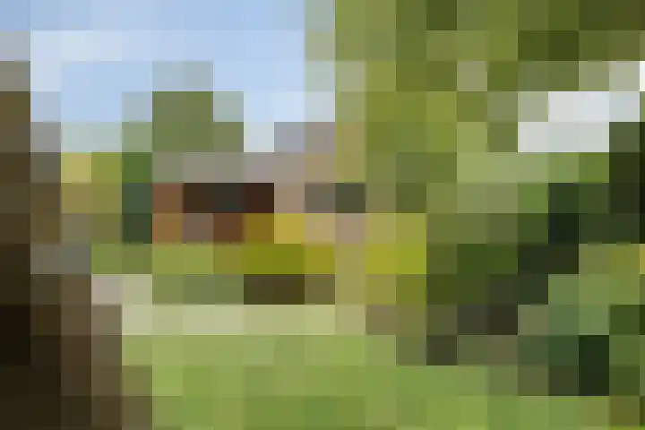 Slotdreef 12 Willemstad thumbnail 48