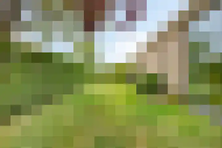Slotdreef 12 Willemstad thumbnail 49