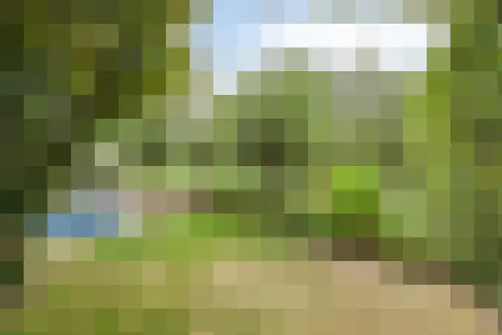 Slotdreef 12 Willemstad thumbnail 51
