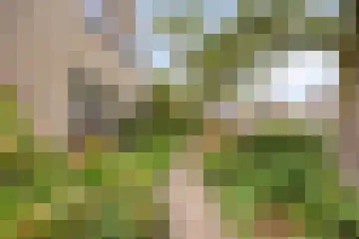 Slotdreef 12 Willemstad thumbnail 55