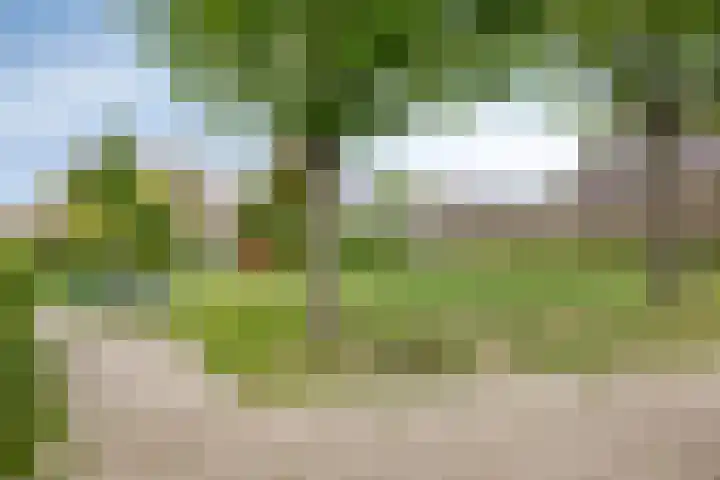 Slotdreef 12 Willemstad thumbnail 58