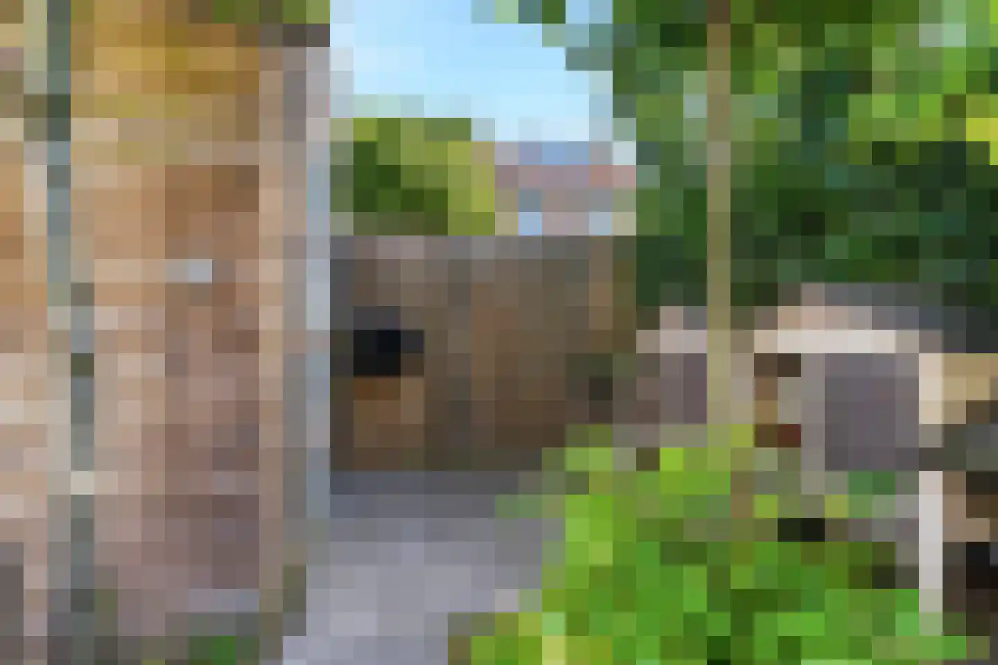 Slotemaker de Bruïneweg 120 Nijmegen thumbnail 38