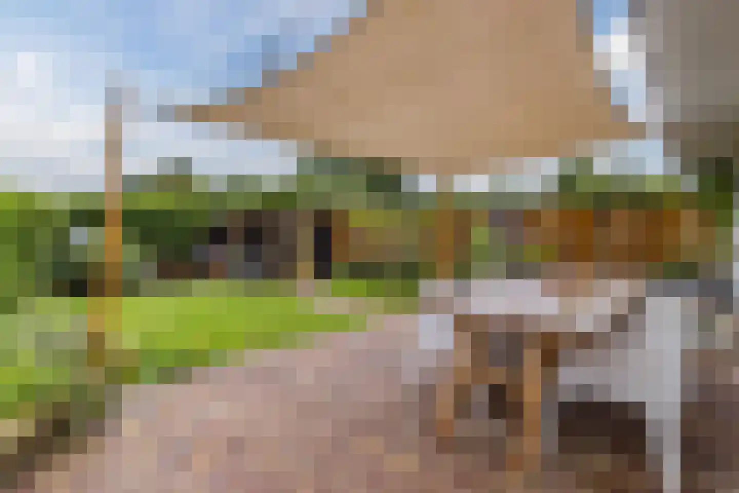 Slotemaker de Bruïneweg 141 Nijmegen thumbnail 28
