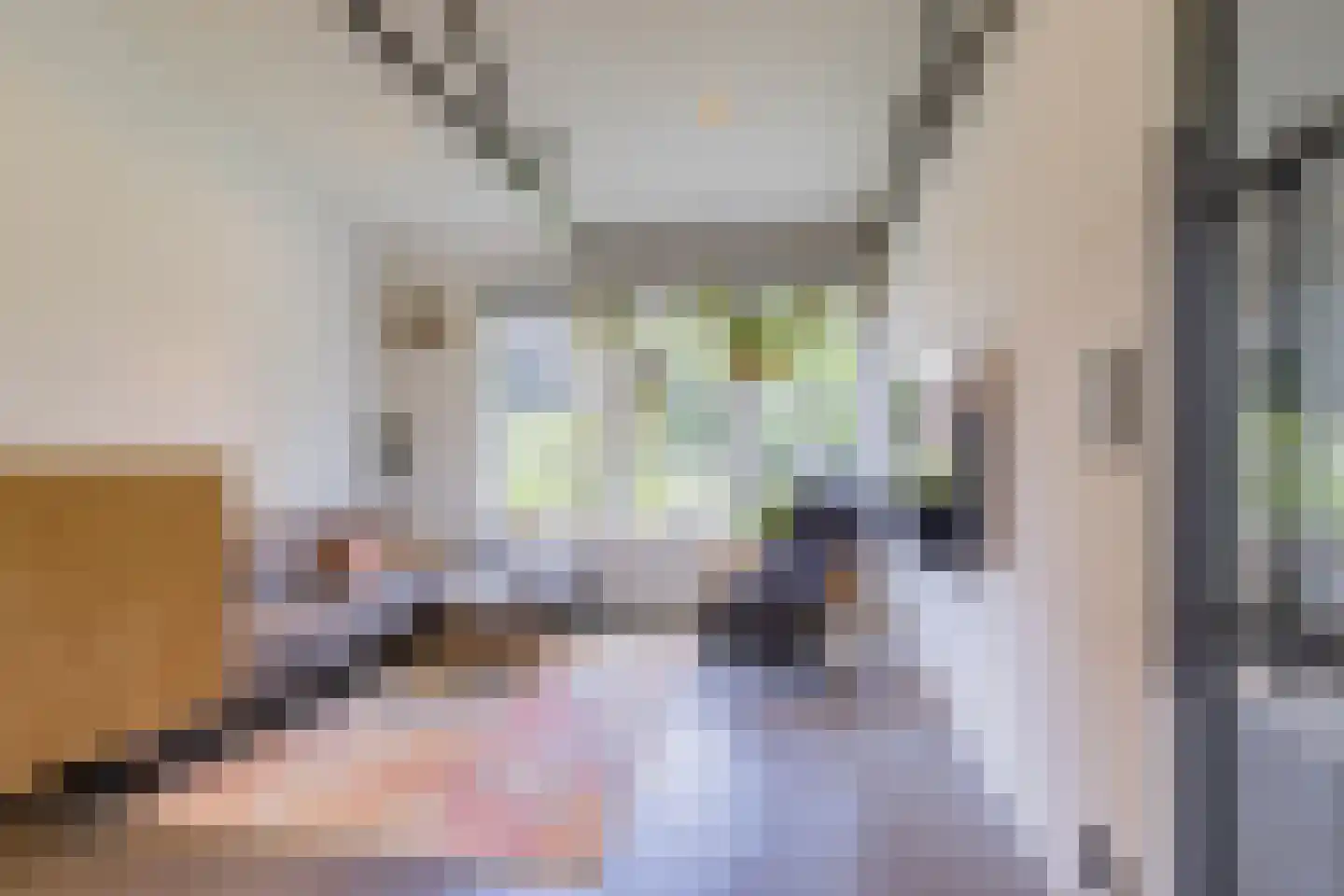 Slotemaker de Bruïneweg 141 Nijmegen thumbnail 4