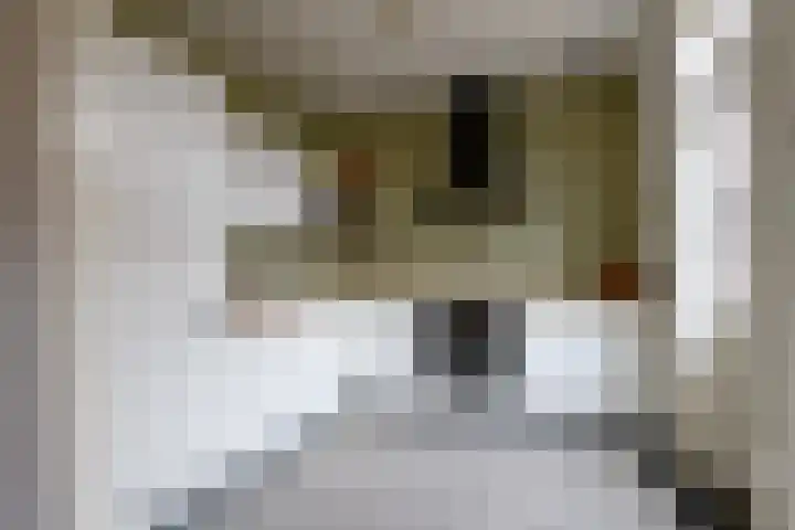Slotemaker de Bruïneweg 30 Nijmegen thumbnail 14