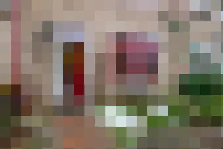 Slotemaker de Bruïneweg 30 Nijmegen thumbnail 34