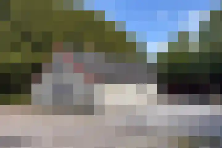 Slotemaker de Bruïneweg 36 Haulerwijk thumbnail 8