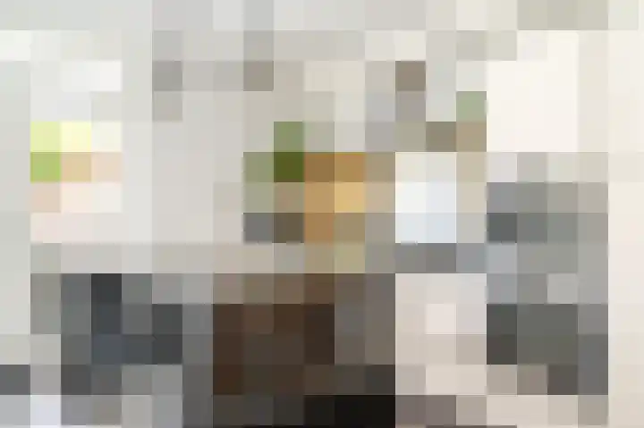 Slotemaker de Bruïneweg 36 Nijmegen thumbnail 18
