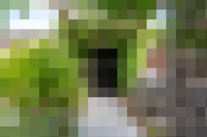 Slotemaker de Bruïneweg 36 Nijmegen thumbnail 52