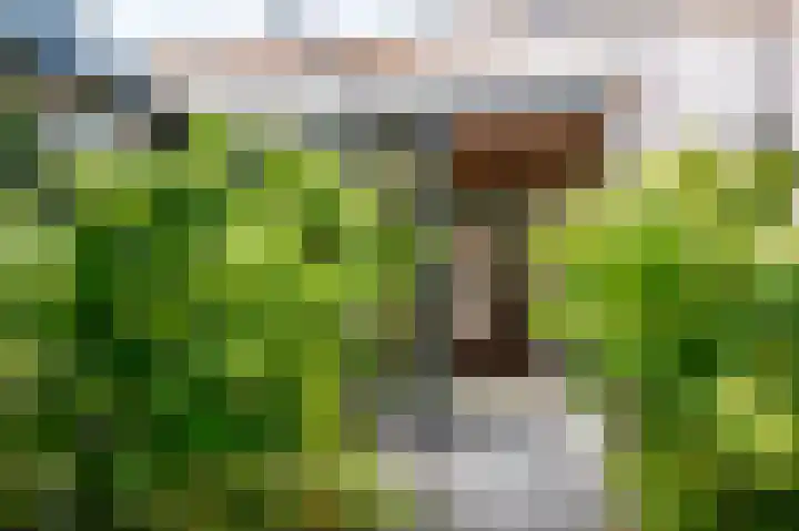 Slotemaker de Bruïneweg 36 Nijmegen thumbnail 57