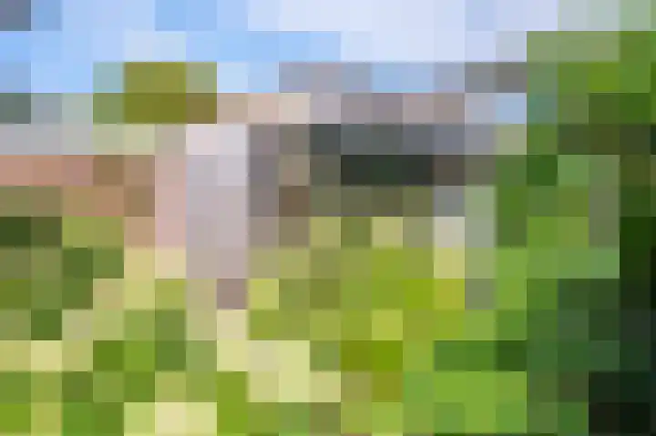 Slotemaker de Bruïneweg 36 Nijmegen thumbnail 63