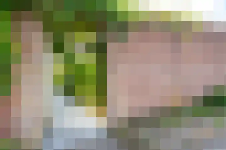 Slotemaker de Bruïneweg 36 Nijmegen thumbnail 68