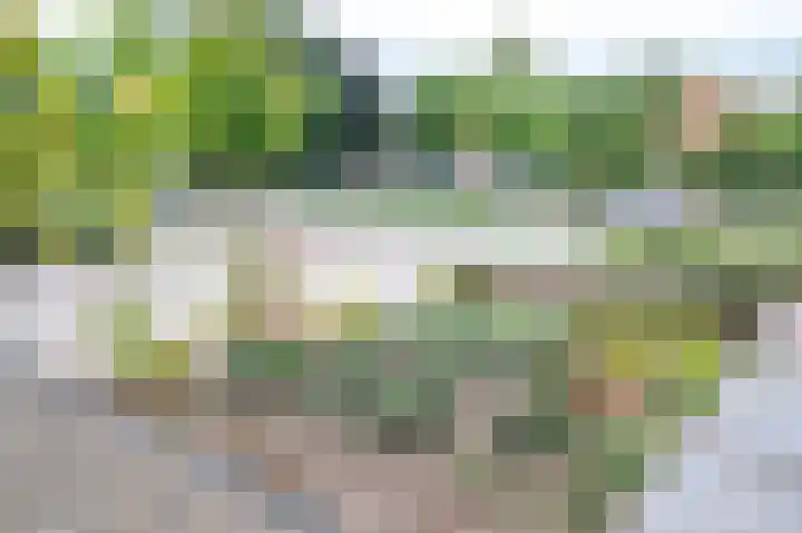 Slotemaker de Bruïneweg 36 Nijmegen thumbnail 71