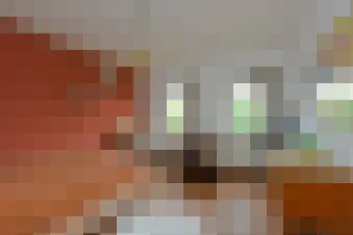 Slotemaker de Bruïneweg 40 Nijmegen thumbnail 10