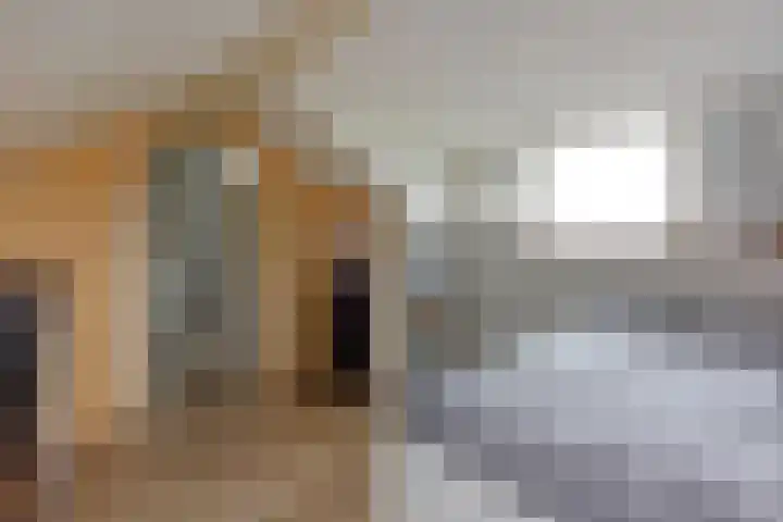 Slotemaker de Bruïneweg 40 Nijmegen thumbnail 18